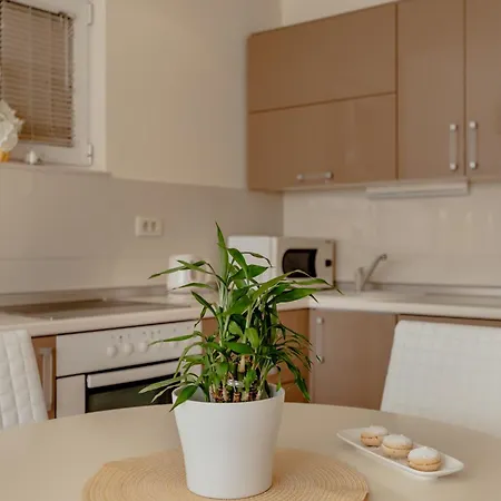 Apartments Porobic Herceg Novi Exterior photo