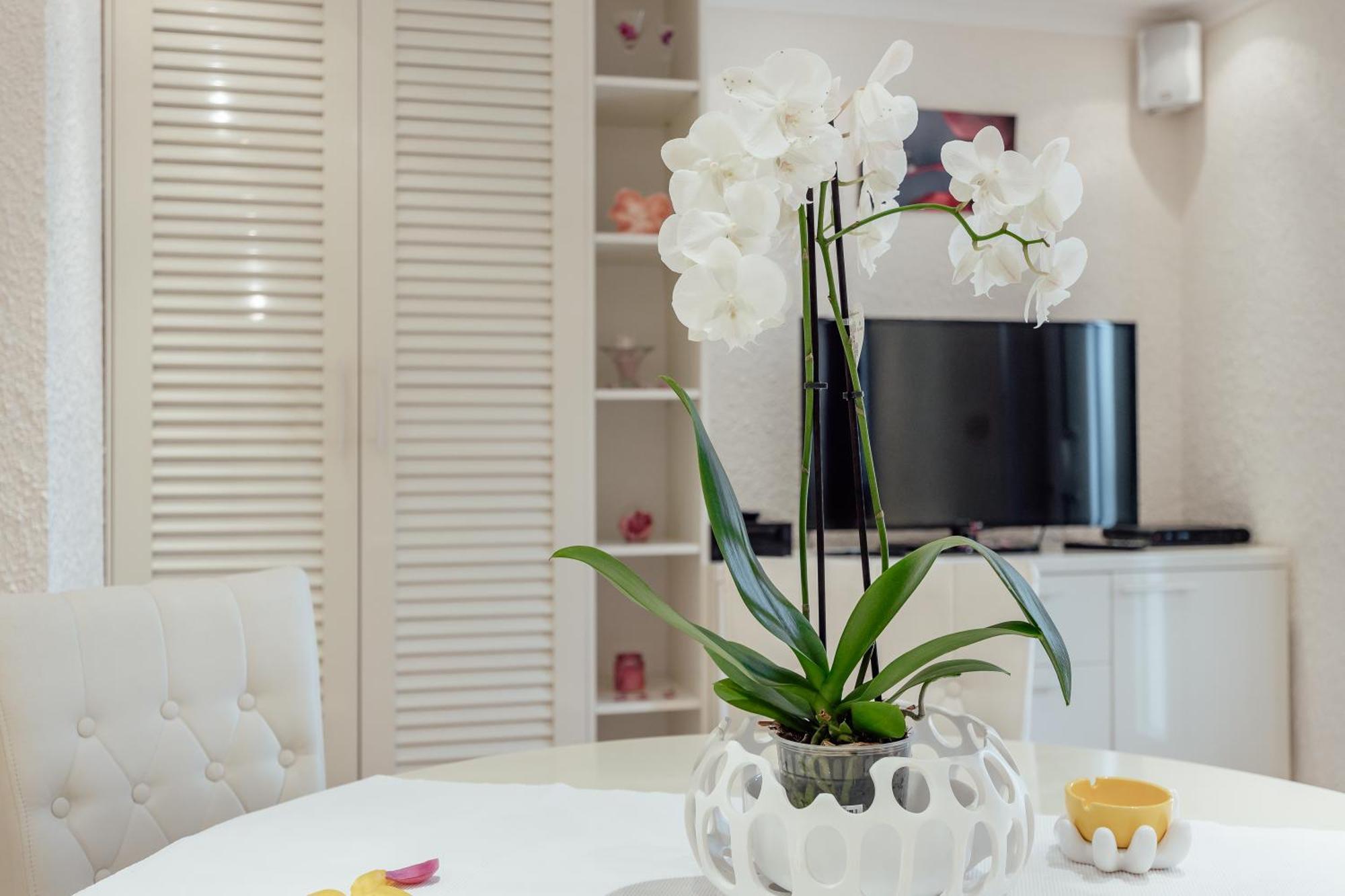 Apartment Porobic *